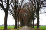 Weitemanslanden